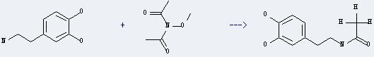 Dopamine can react with N-Methoxydiacetamide to get N-(3,4-dihydroxy-phenethyl)-acetamide